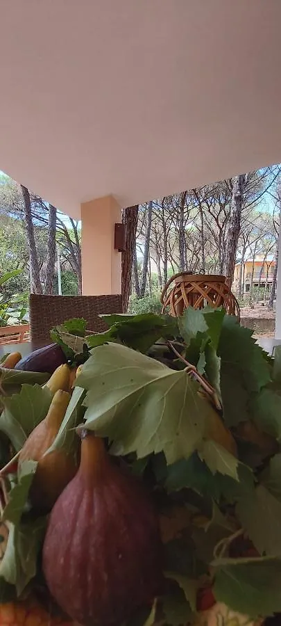 Villa I Ginepri Di Egate - Relax E Privacy Fort Village